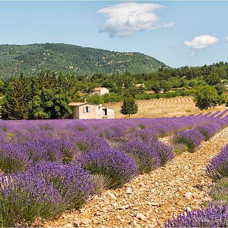 Hotel D'Albion Sault-de-Vaucluse Luaran gambar