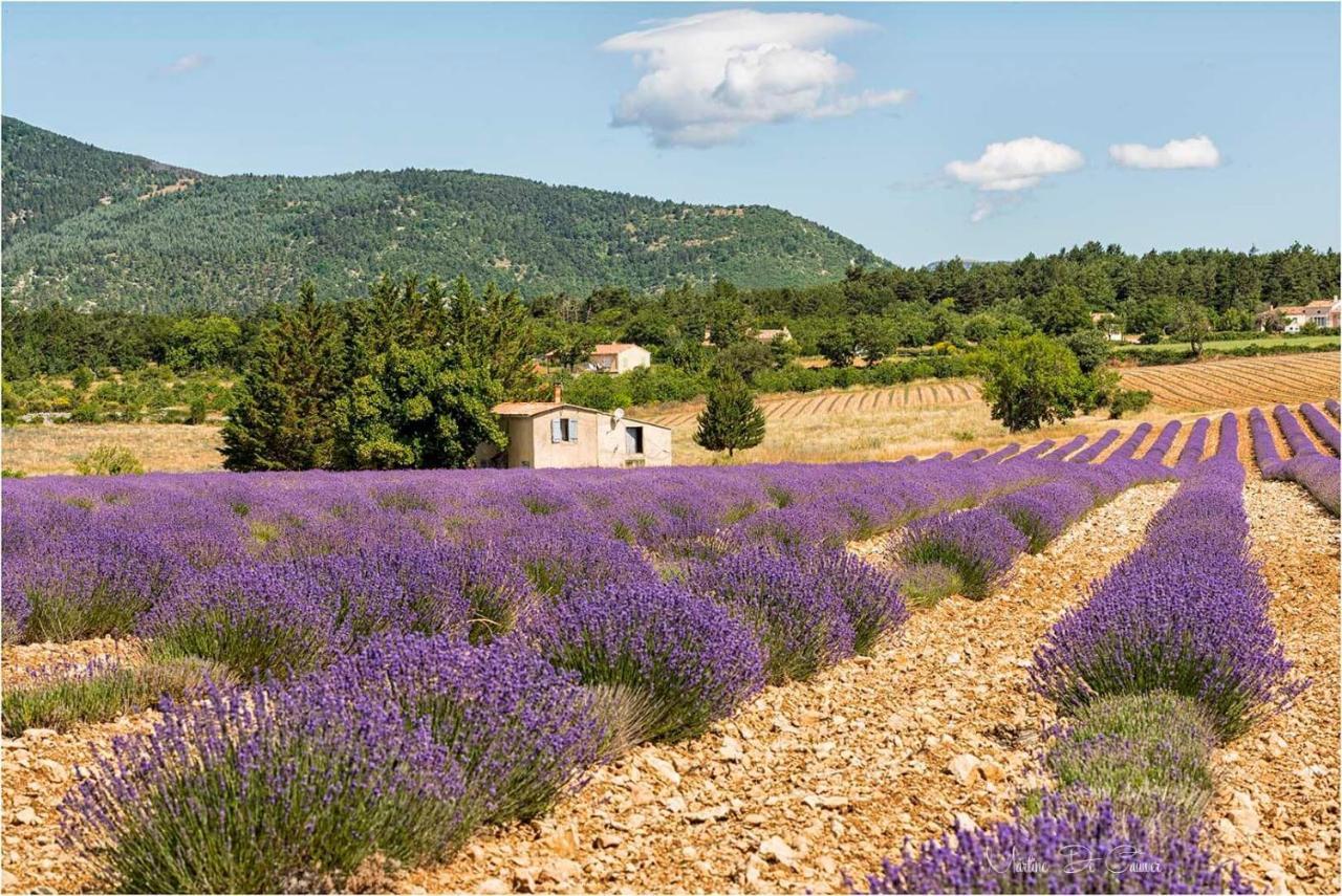 Hotel D'Albion Sault-de-Vaucluse Luaran gambar