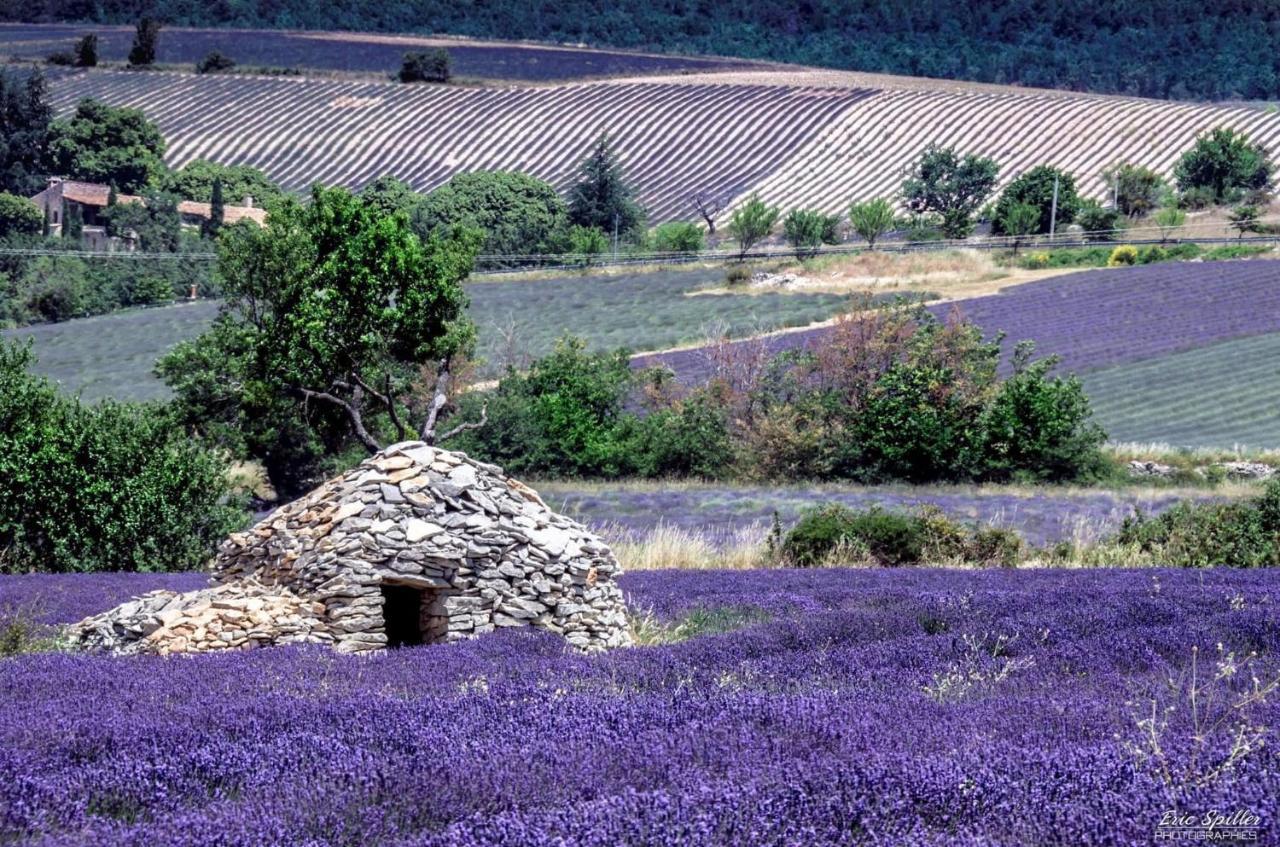 Hotel D'Albion Sault-de-Vaucluse Luaran gambar